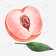 幽光旧版本豌豆荚APP应用