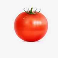 WWW,se810·COM网站APPAPP应用
